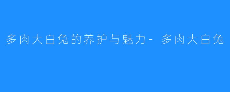 多肉大白兔的养护与魅力-多肉大白兔
