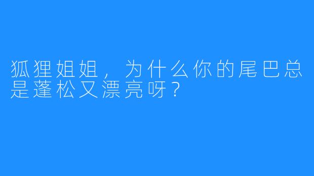 狐狸姐姐,为什么你的尾巴总是蓬松又漂亮呀?