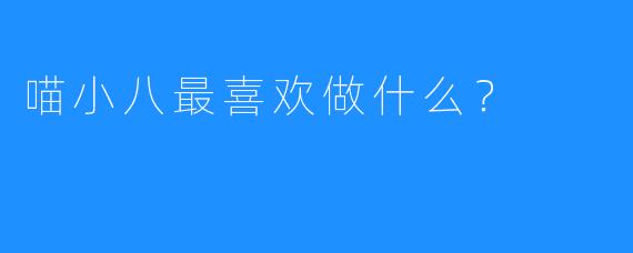 喵小八最喜欢做什么?