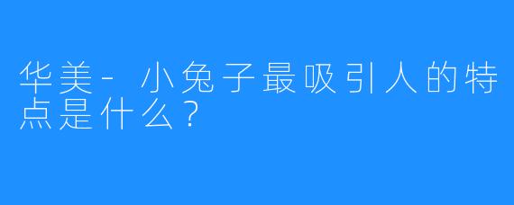 华美-小兔子最吸引人的特点是什么?