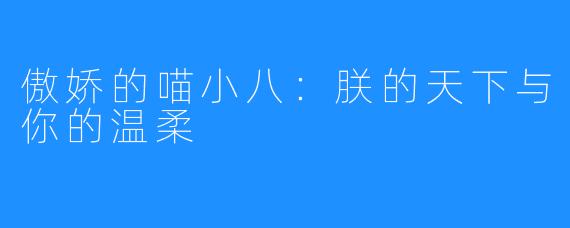 傲娇的喵小八:朕的天下与你的温柔