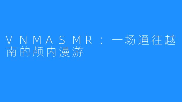 VNMASMR:一场通往越南的颅内漫游