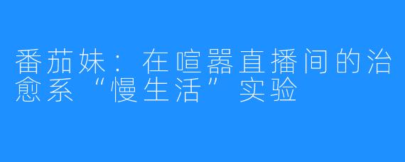 番茄妹：在喧嚣直播间的治愈系“慢生活”实验