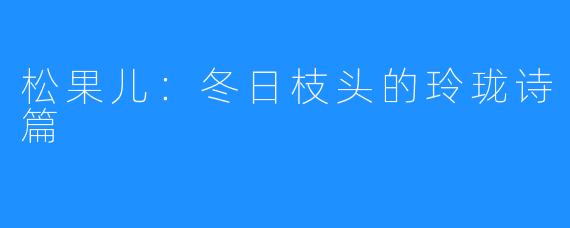 松果儿:冬日枝头的玲珑诗篇