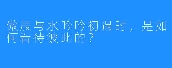 傲辰与水吟吟初遇时,是如何看待彼此的?